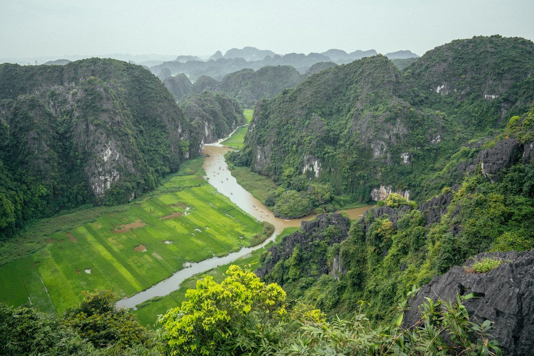 Thung lũng xanh nhìn từ Hang Múa Ninh Bình
